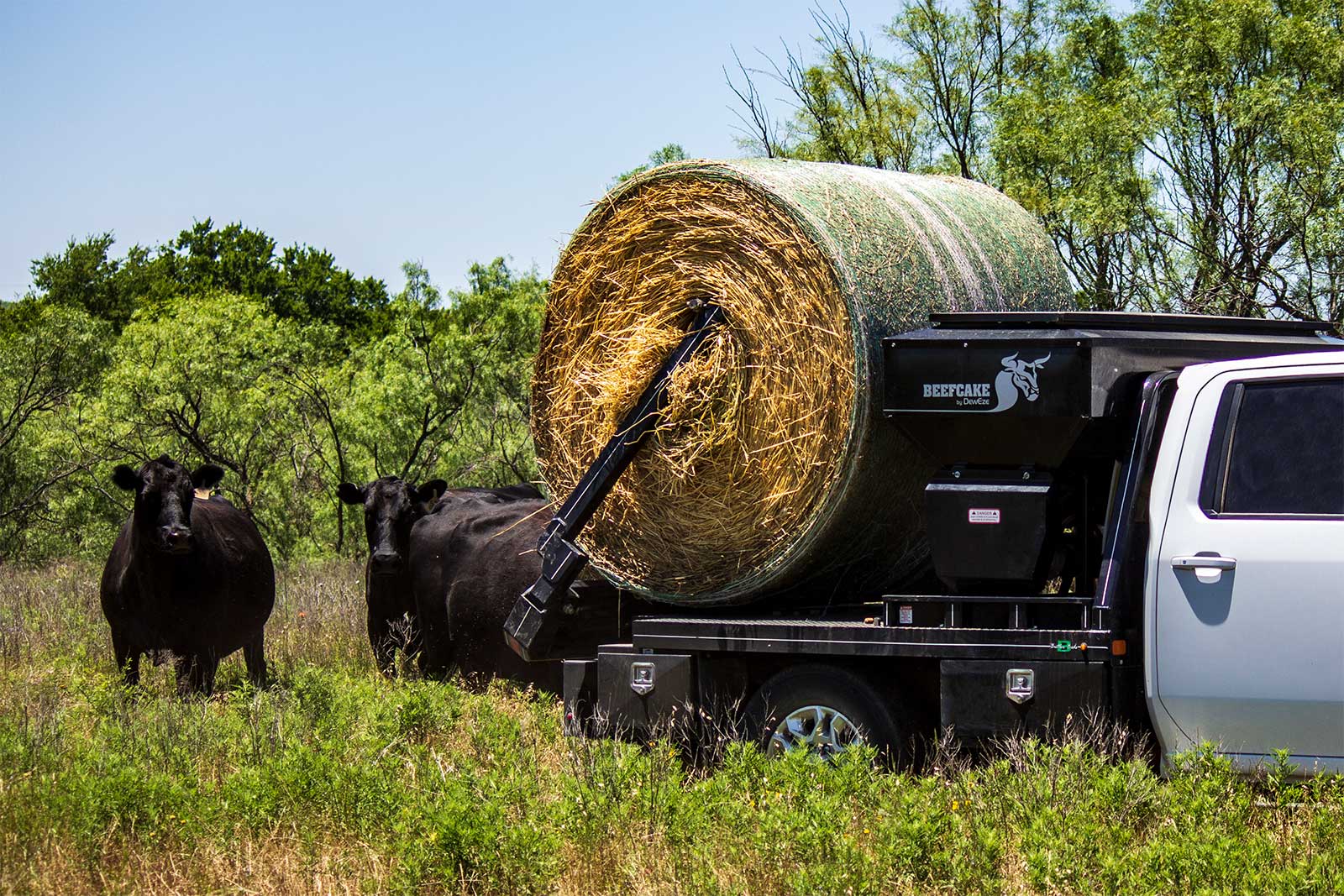Arm bale bed holding a round hay bale beside cattle in a pasture