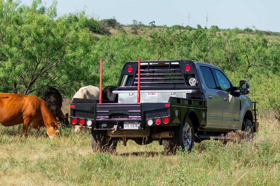 Truck with a dual-spike bale bed and raised red spikes beside cattle